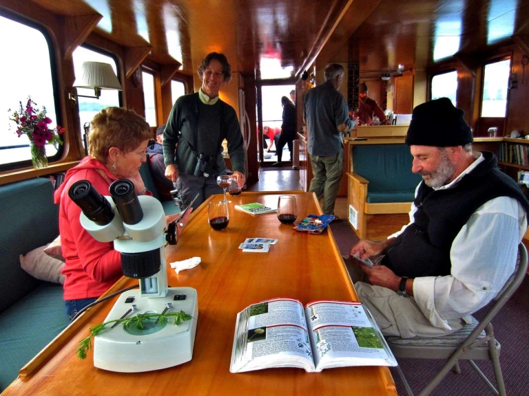 Luxury Yacht to hire San Juan Islands at the best price