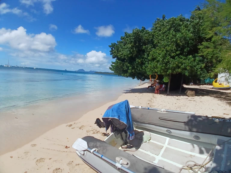 Charter a Bavaria Bavaria 46 Cruiser in Le Marin on Samboat
