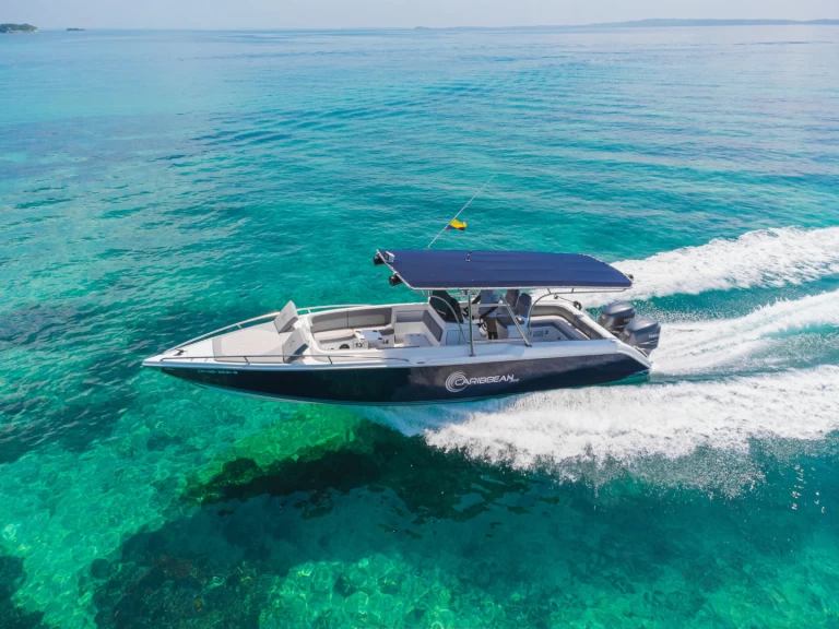 Hire Motorboat with or without skipper Firpol Cartagena