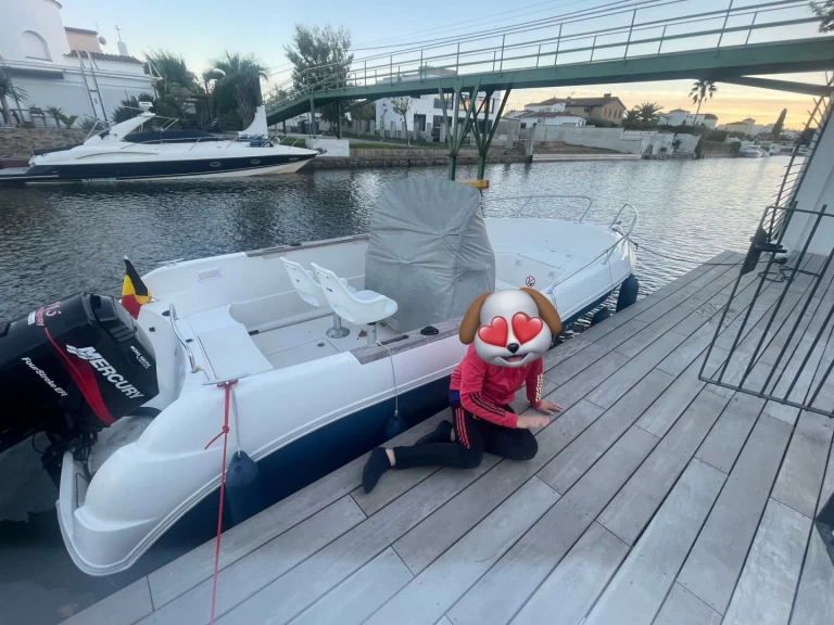 Hire Motorboat Quicksilver with a boat licence