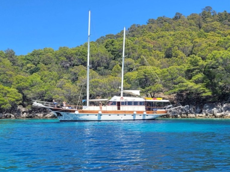 Hire a Custom Made Vito Split