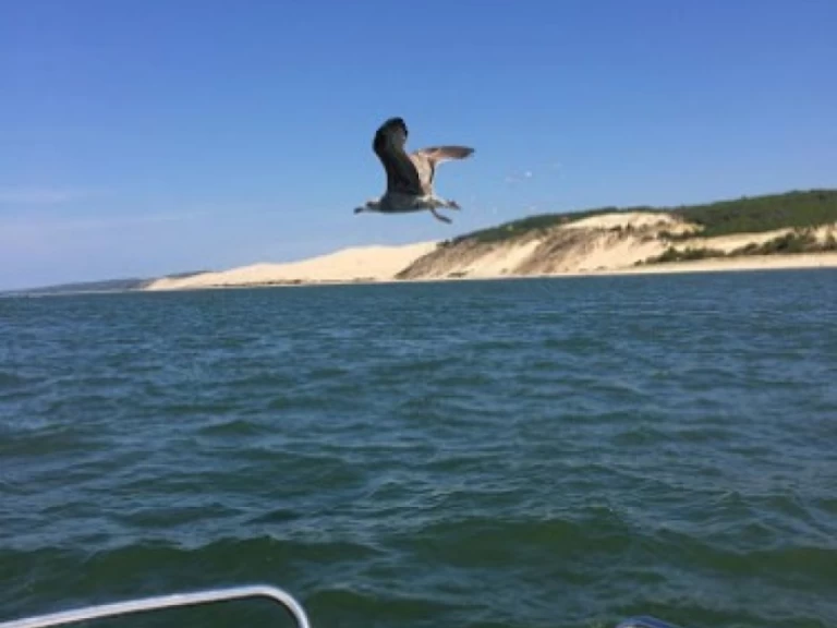 Hire Motorboat Bénéteau with a boat licence