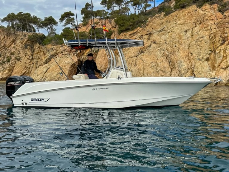 Hire Motorboat Boston Whaler with a boat licence