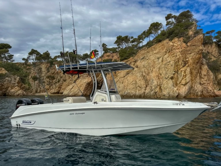 Hire Motorboat with or without skipper Boston Whaler Marina de Palamós