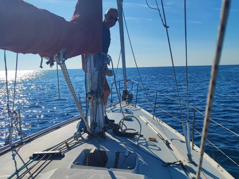 Yacht charter Port Fréjus - Dufour Dufour 36 on SamBoat