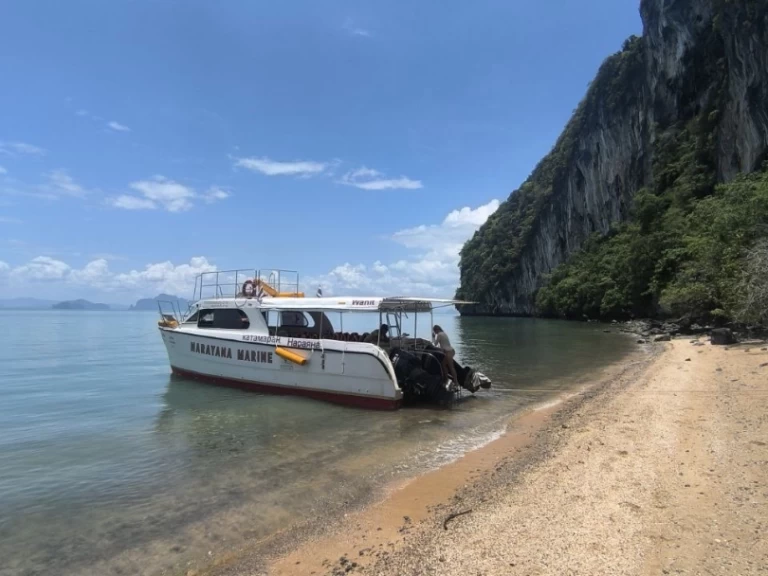 Hire Catamaran Austhai At with a boat licence