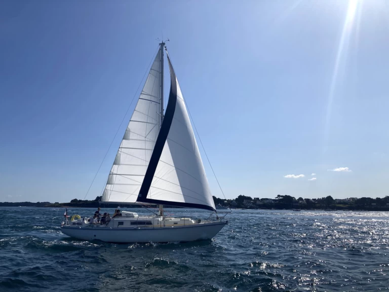 Hire a Amel kirk 36 Saint-Mandrier-sur-Mer