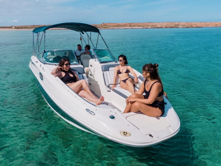 Yacht hire Ibiza Town cheap Sea Ray 260 Sundeck