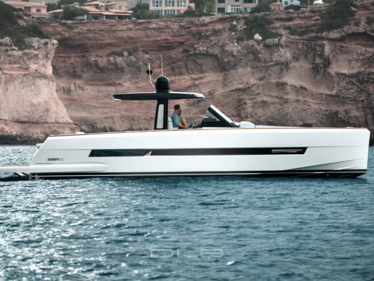 Hire Motorboat with or without skipper Fjord Monaco