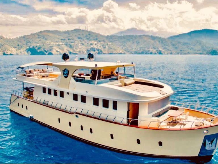 Other 4c22 charter bareboat or skippered in  Göcek