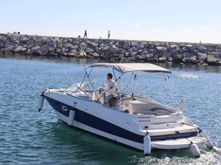 Charter a Bayliner Bayliner 249 SD in Puerto Banús on Samboat