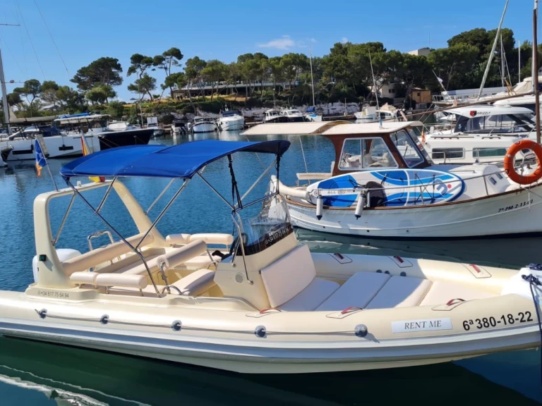 RIB to hire Cala d'Or at the best price