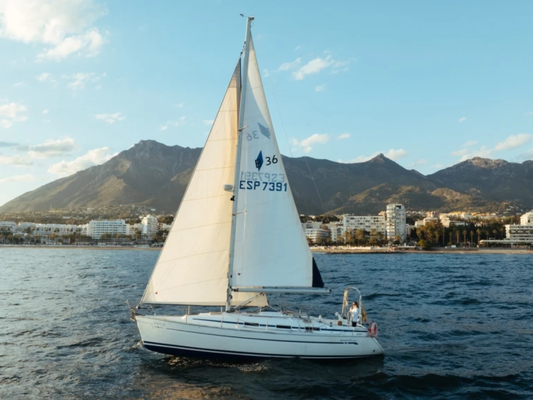 Bavaria Bavaria 36 Cruiser charter bareboat or skippered in  Puerto Deportivo de Marbella