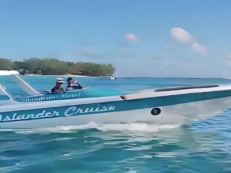 Hire Motorboat with or without skipper Cobra Blue bay