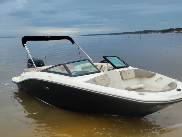 Motorboat hire in Anglet - Sea Ray Sea Ray 19 SPX OB