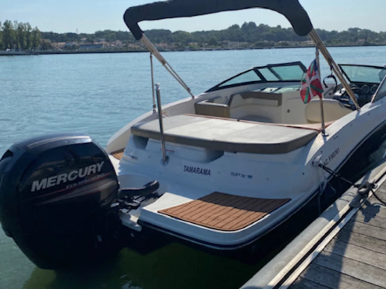 Yacht charter Anglet - Sea Ray Sea Ray 19 SPX OB on SamBoat