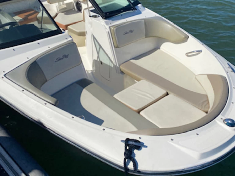 Yacht hire Anglet cheap Sea Ray 19 SPX OB