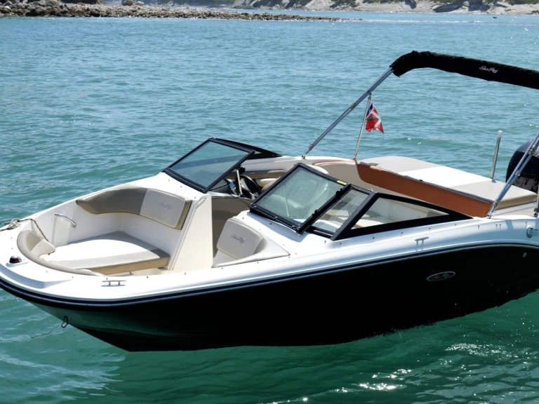 Charter a Sea Ray Sea Ray 19 SPX OB in Anglet on Samboat