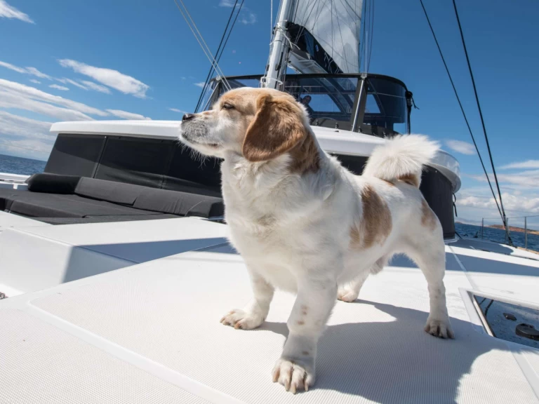 Luxury Yacht to hire Lávrio at the best price