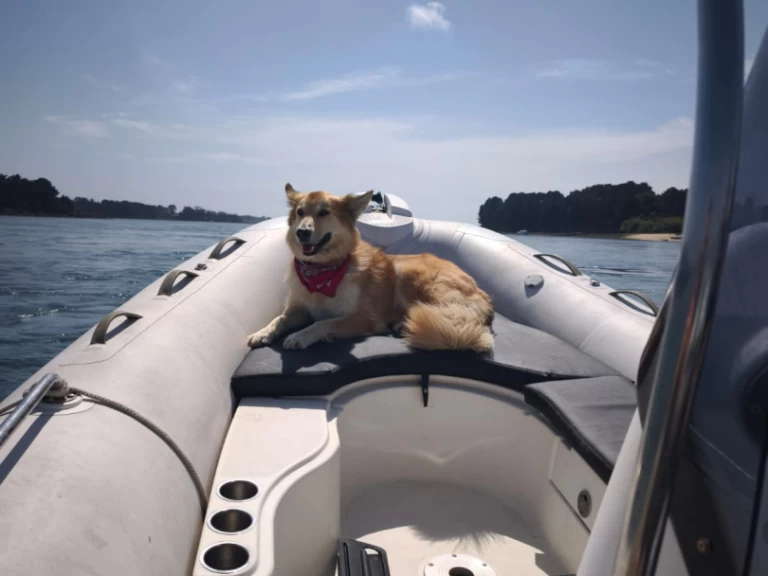 Hire RIB with or without skipper Zodiac Larmor-Baden