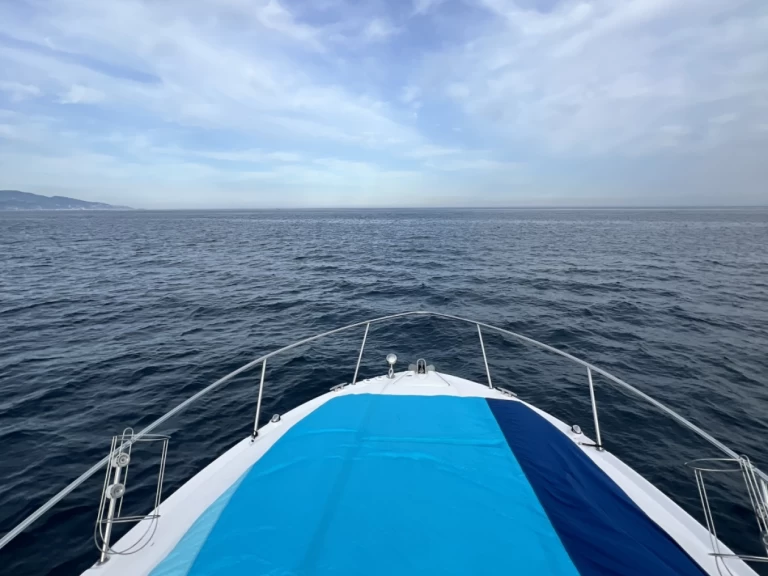 Charter a Sea Ray Sea Ray 335 Sundancer in Monaco on Samboat