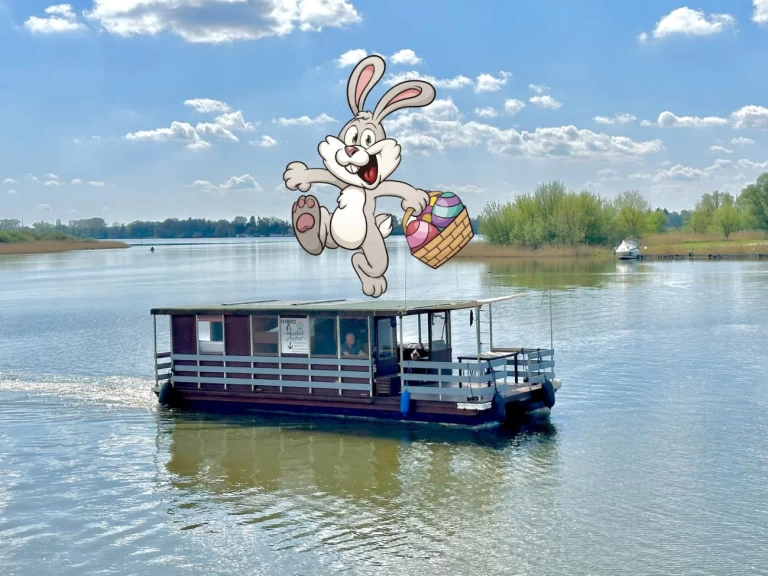 Canal boat hire in Loitz - TS1000 TS1000