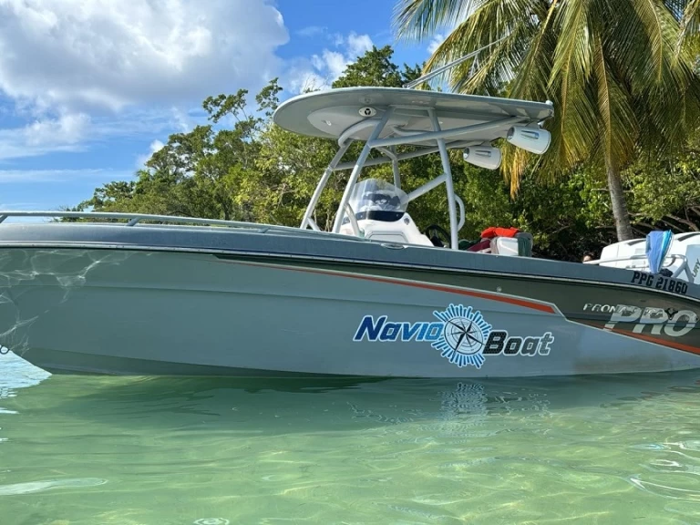 Motorboat to hire Pointe-à-Pitre at the best price