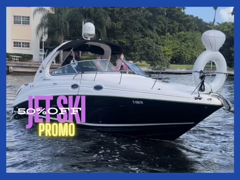Hire Motorboat Sea Ray with a boat licence