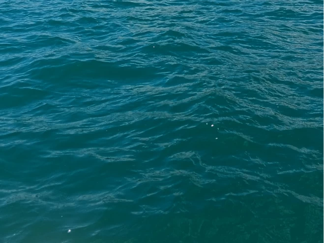 Hire a Bénéteau Flyer 650 WA Le Cap d'Agde