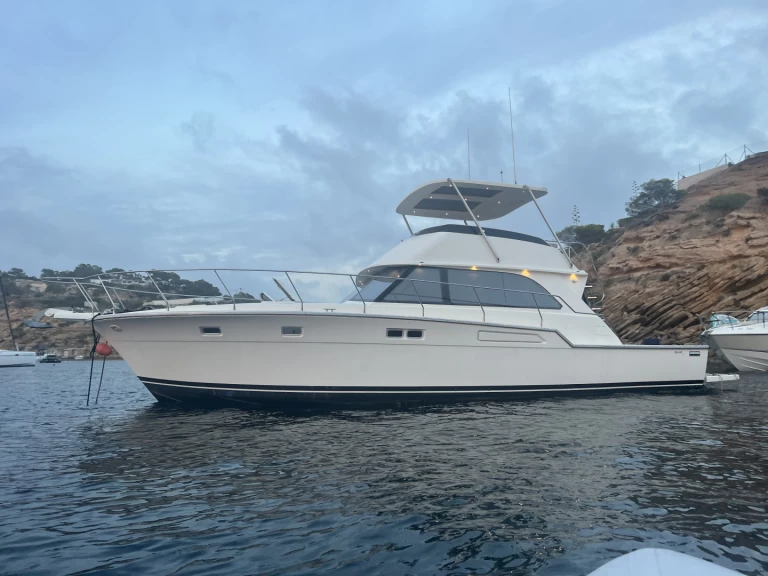 Luxury Yacht hire in Ibiza Town - Bertram Bertram 54