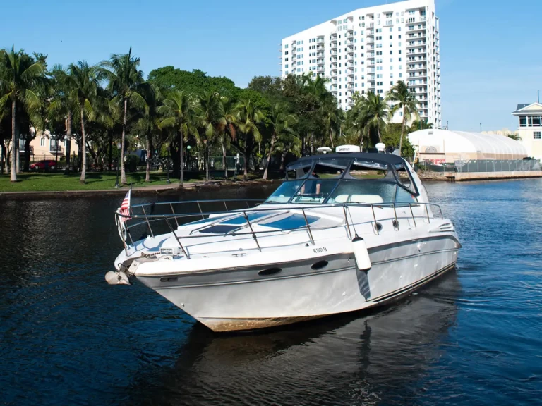 Hire Motorboat Sea Ray with a boat licence