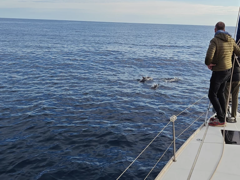 Sailboat to hire Saint-Cyprien-Plage at the best price