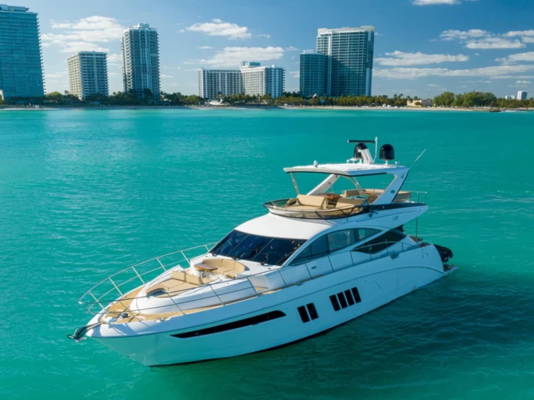Charter a Sea Ray L 650 Fly in Nassau on Samboat
