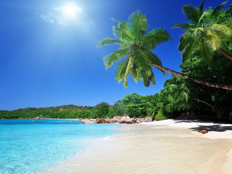 Hire Catamaran with or without skipper Lagoon Saint Vincent (Island)