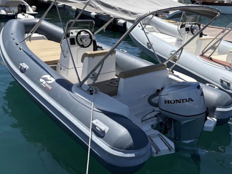Hire RIB Predator with a boat licence