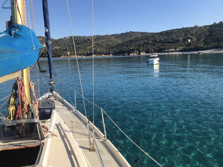 Charter a Contest contest 34 in Marseille on Samboat