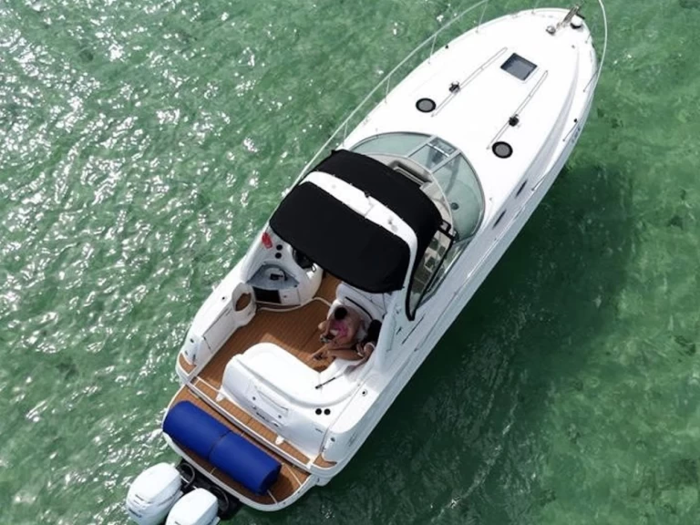 Yacht charter Miami - Sea Ray Sea Ray 360 Sundancer on SamBoat