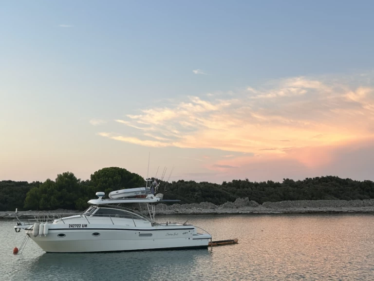 Polyform Triakis C30 charter bareboat or skippered in  Umag