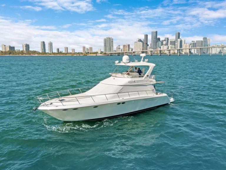 Sea Ray Sea Ray 550 Sedan Bridge charter bareboat or skippered in  Miami