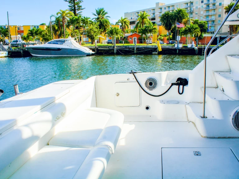 Motorboat hire in Miami - Sea Ray 450 fly bridge 
