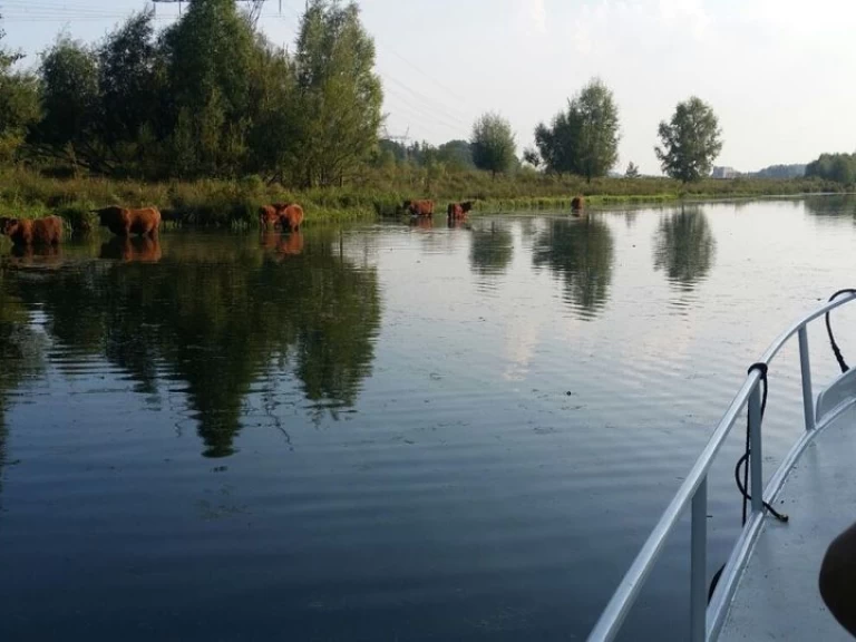 Motorboat to hire Bunschoten at the best price