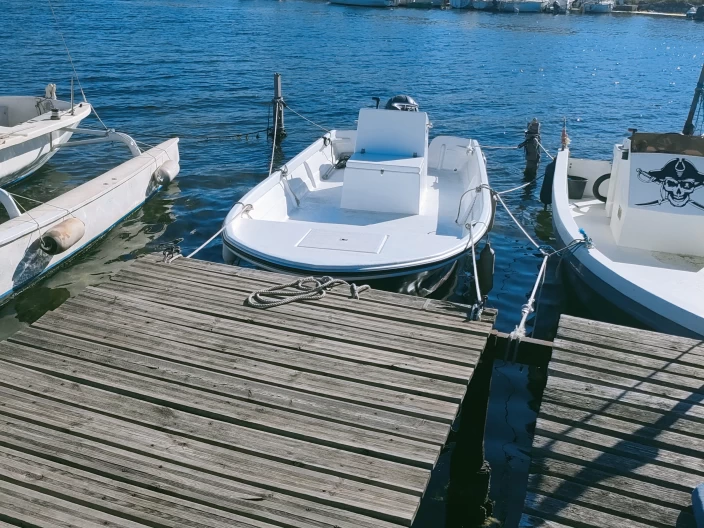 Motorboat hire in Balaruc-les-Bains - C.N ALLEMAN SAPINOU