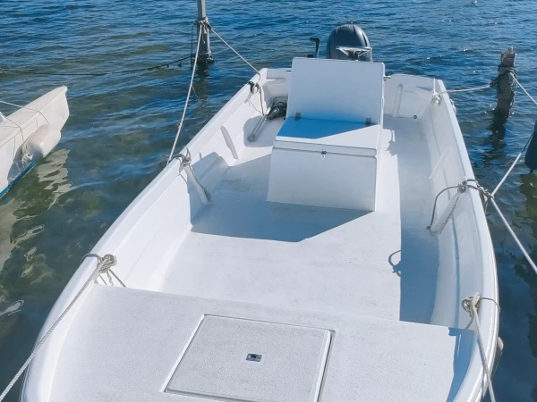Charter a C.N ALLEMAN SAPINOU in Balaruc-les-Bains on Samboat