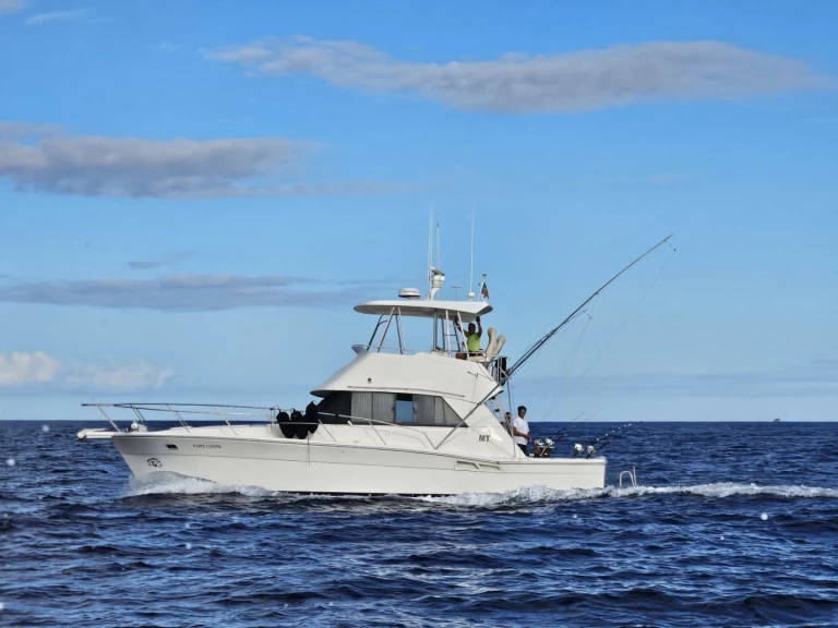 Motorboat hire in Ponta Delgada (São Pedro) - Riviera Riviera 39 Open Flybridge