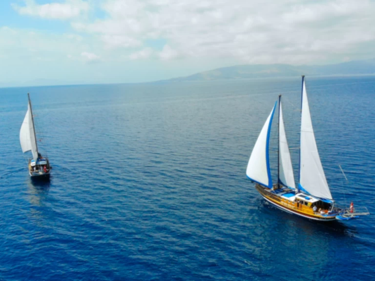 Yacht charter Bodrum -  Gulet Kavanca on SamBoat