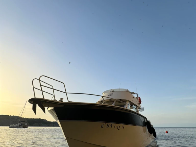 Yacht charter Port de Estartit - Rodman Rodman 1100 on SamBoat