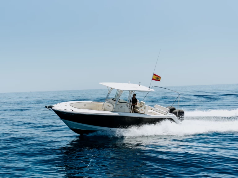 Motorboat hire in Ibiza Town - Robalo 300 