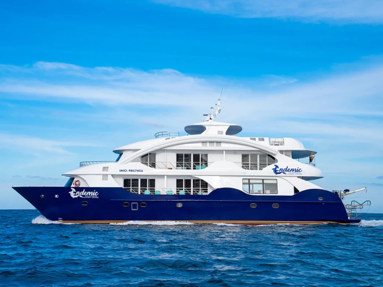 Luxury Yacht hire in Puerto Baquerizo Moreno -  Power Cat - Endemic