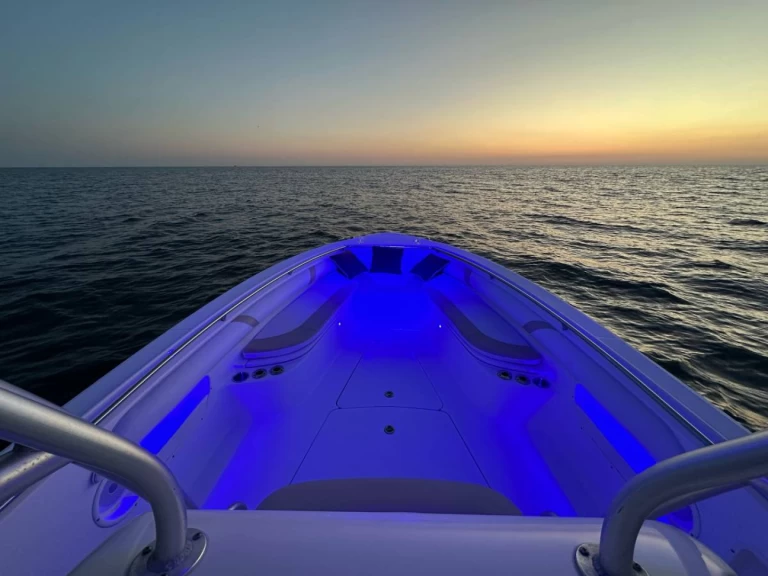 Yacht hire Hydra cheap Boston Whaler 320 Outrage