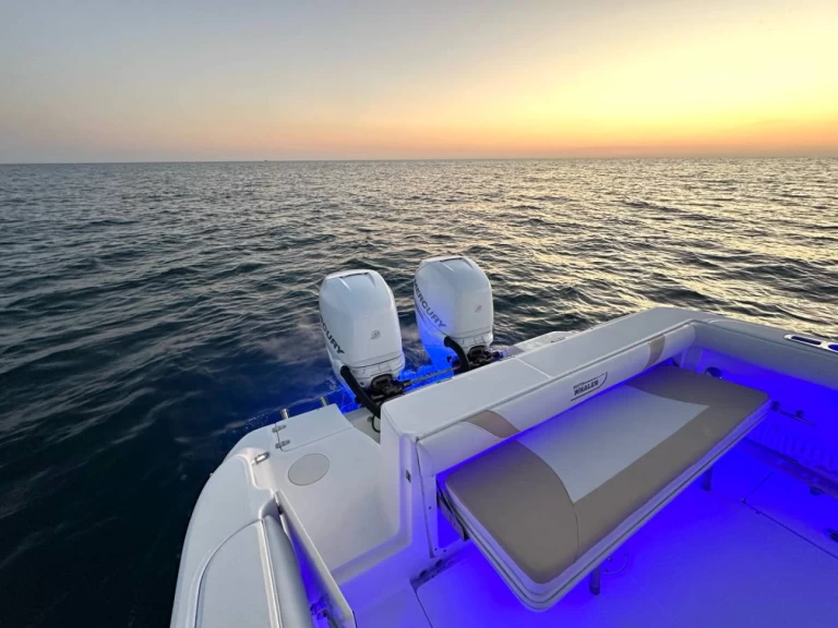 Motorboat hire in Hydra - Boston Whaler Boston Whaler 320 Outrage